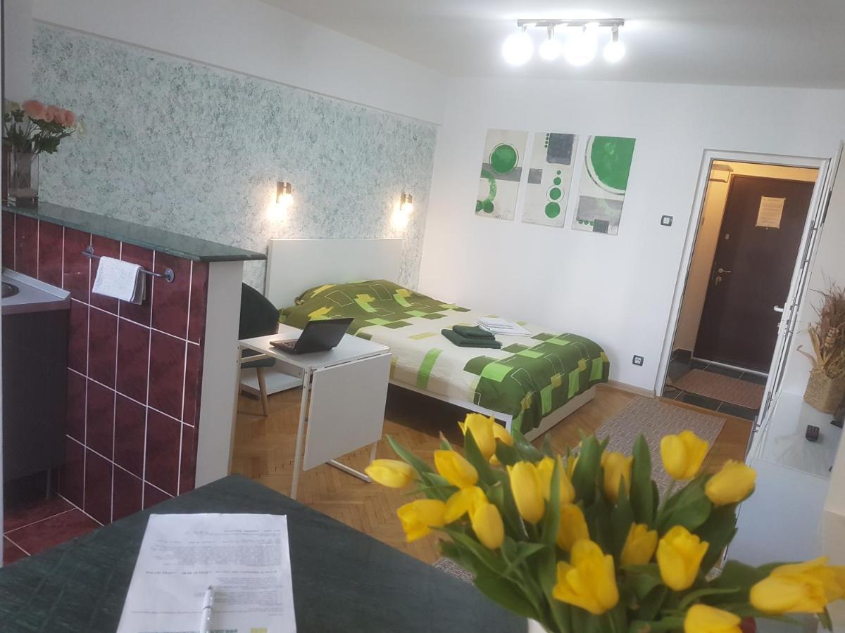 בוקרשט Calea Victoriei Residence מראה חיצוני תמונה